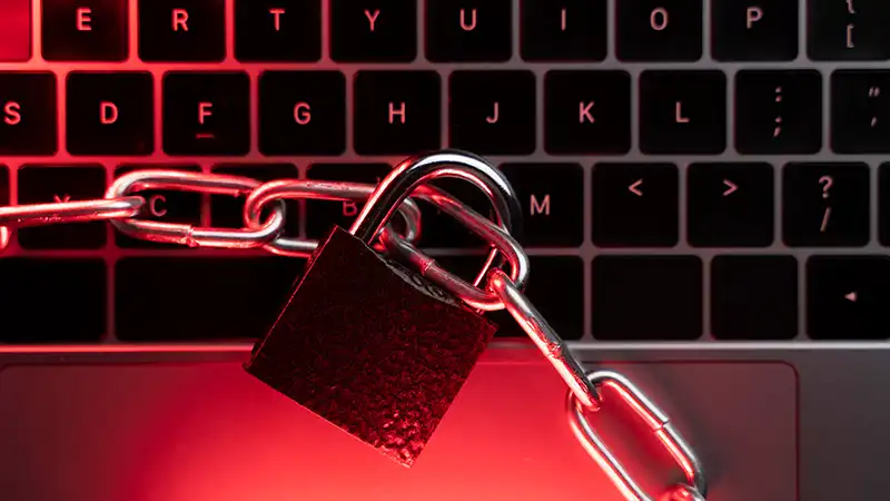 Ciberseguridad en WordPress: Protegiendo tu negocio frente a las amenazas de 2026 1 Ciberseguridad en WordPress